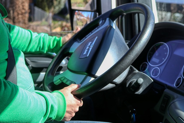 Le permis de conduire pour les conducteurs professionnels : enjeux et perspectives